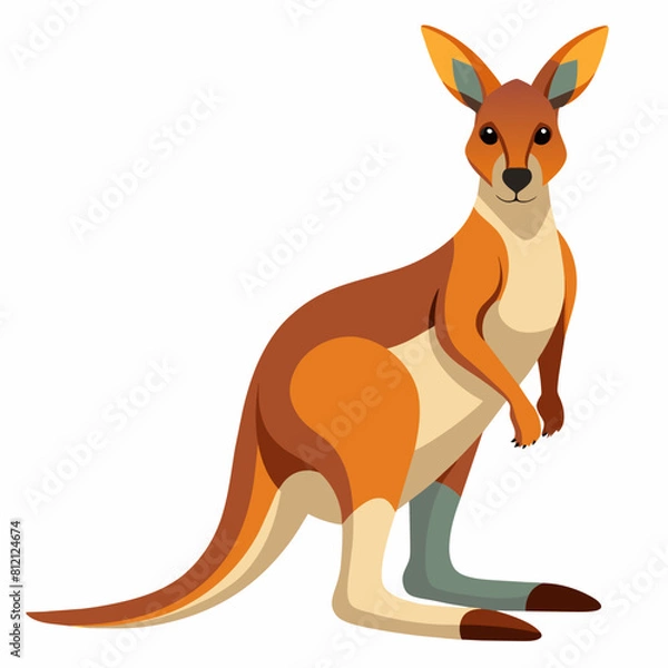 Obraz kangaroo vector design 