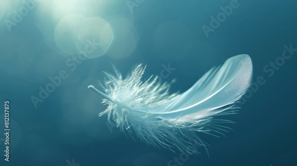 Fototapeta A delicate feather drifts weightlessly against a soft blue background with a bokeh effect, creating a serene image.