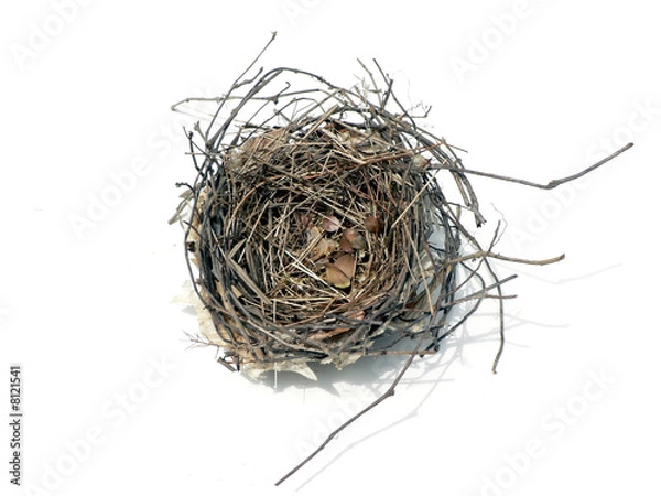 Fototapeta bird nest 08' 2