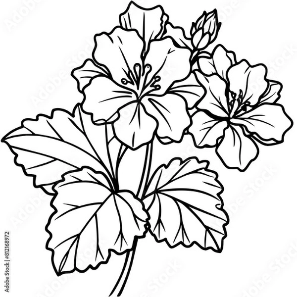 Fototapeta Geranium flower outline coloring book page line art drawing vector illustration for children and adults