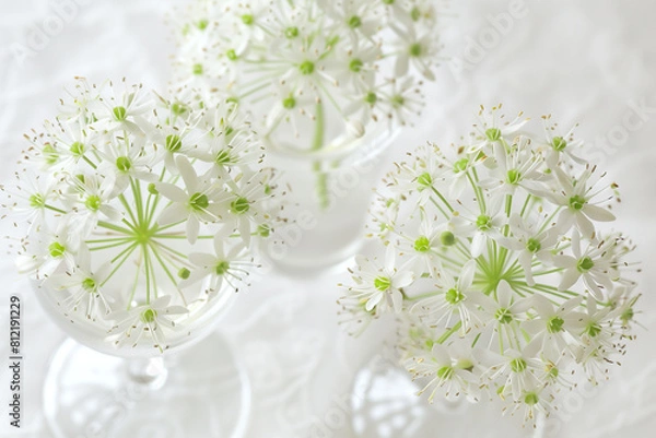 Fototapeta A close-up of delicate white garlic flowers arranged elegantly in glass containers, highlighting their intricate beauty on a soft, white background