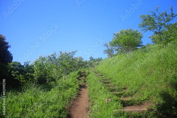 Fototapeta 仙元山