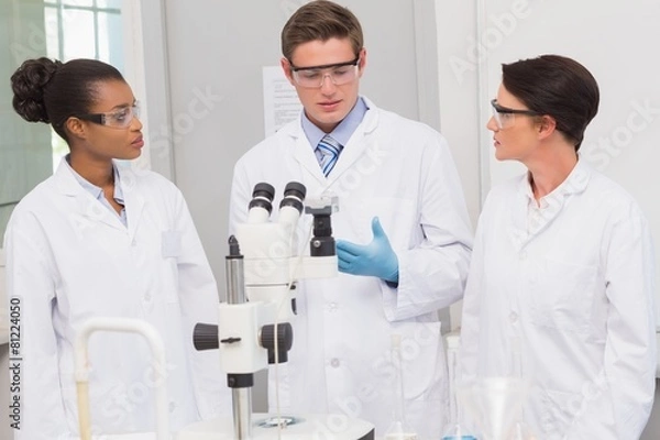 Obraz Scientists working together