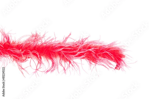 Obraz Portion of feather boa