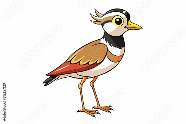 Fototapeta lapwing bird vector illustration