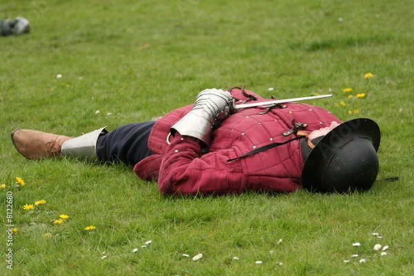 Obraz Fallen soldier