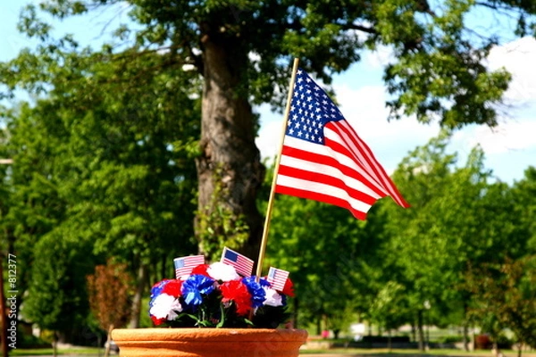 Obraz american patriotism - flag and tree