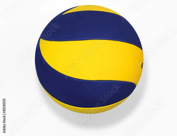 Obraz Volley ball