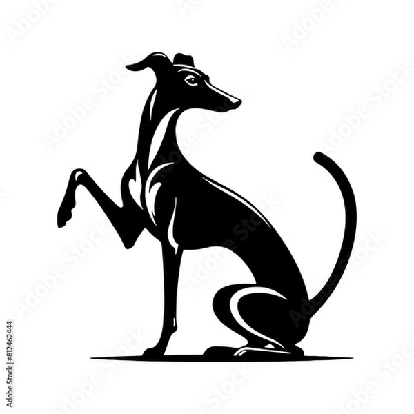 Obraz Italian Greyhound Silhouette - Graceful Lines Capture the Beauty and Speed of this Elegant Breed- Italian Grey Hound Illustration- minimalist Italian grey hound vector.