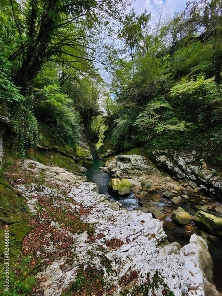 Obraz river in the forest Georgia