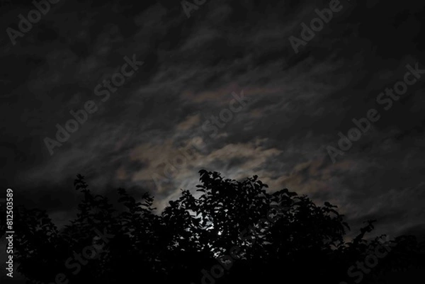 Obraz 雲に遮られる月明かり