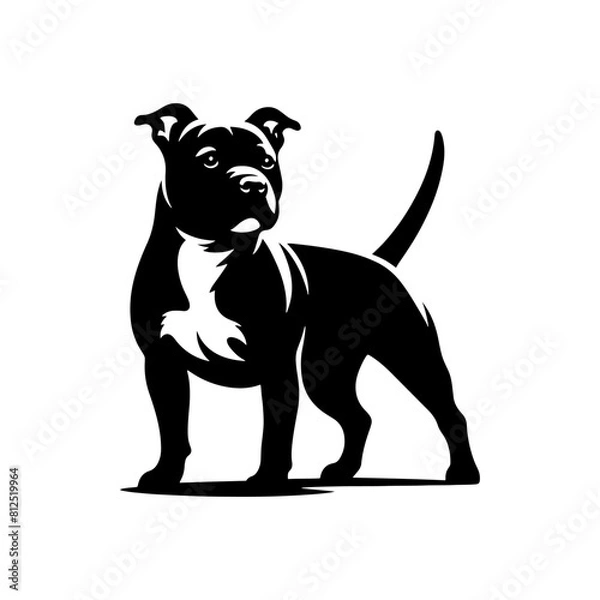 Obraz Staffordshire Bull Terrier Vector Silhouette - Capturing Strength and Courage in Simplistic Elegance- Minimalist Staffordshire Bull Terrier- Illustration of Staffordshire Bull Terrier.