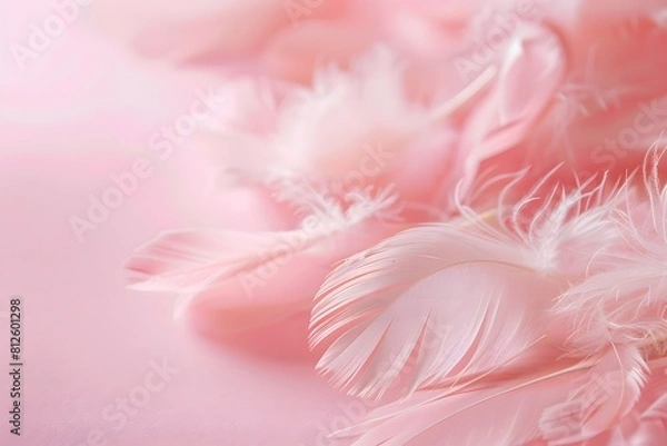 Fototapeta Delicate chicken feather texture in soft vintage pink hue. Perfect background for a romantic or whimsical design