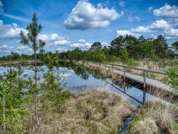 Obraz Pietzmoor - Wanderweg 