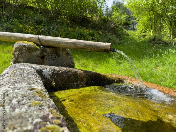 Obraz Source eau en montagne - Fontaine 
