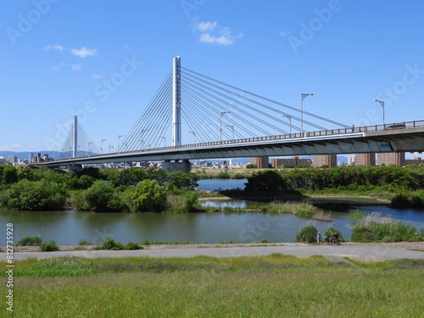 Fototapeta 淀川に架かる菅原城北大橋と城北ワンド(2024年5月撮影)