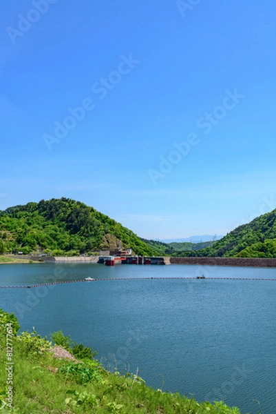 Fototapeta 白川湖 青空と残雪と新緑の水没林
