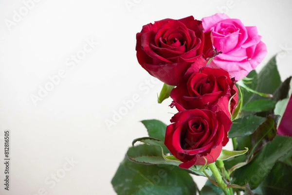 Fototapeta 赤とピンクのばら