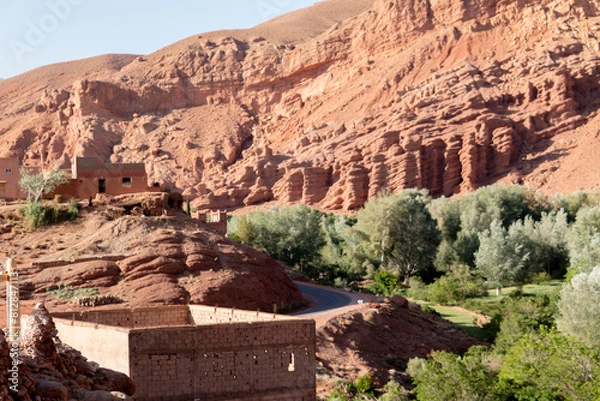 Obraz Walking through the middle of the dessert