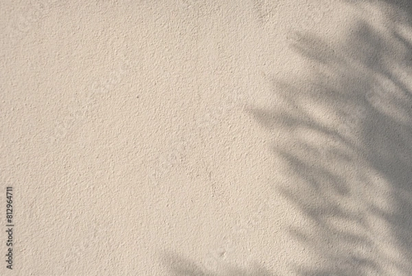 Obraz A white wall brown beach san and sun with a shadow of a tree