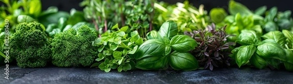 Fototapeta Display of fresh herbs essential for culinary enhancement