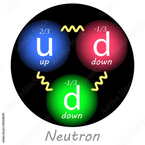 Fototapeta Neutron with one up quark, two down quarks, their charges and the forces between them. Vector illustration. Nuclear physics.