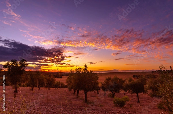 Obraz Alentejo Sunset 