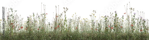 Fototapeta Wild flowers field, grass and meadow in nature, Tropical forest isolated on transparent background - PNG file, 3D rendering for create and design