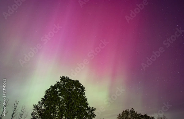 Obraz Northern lights with trees