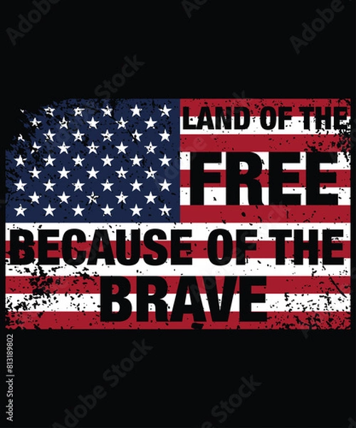 Obraz Land of the Free, Because of the Brave Memorial Day T-Shirt, Shirt Print Template, Army Shirt, 4th of July shirt, Veteran Shirt, USA Army Memorial Day, Remembering The Heroes
