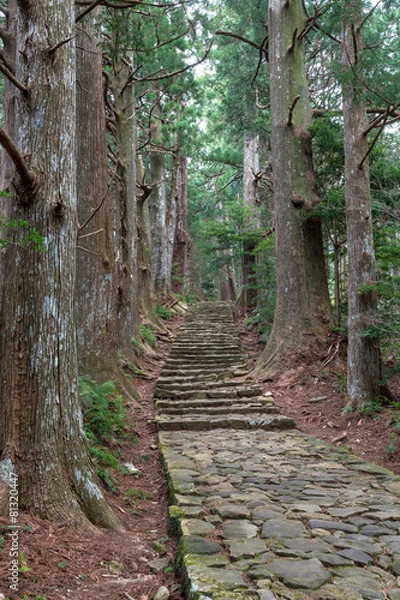 Fototapeta 熊野古道・大門坂