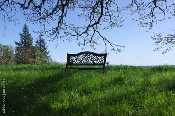 Obraz Rustic Bench