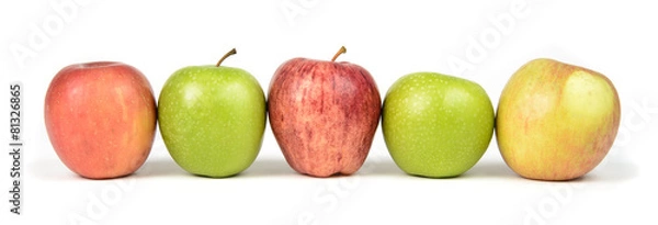 Obraz Apple Varieties