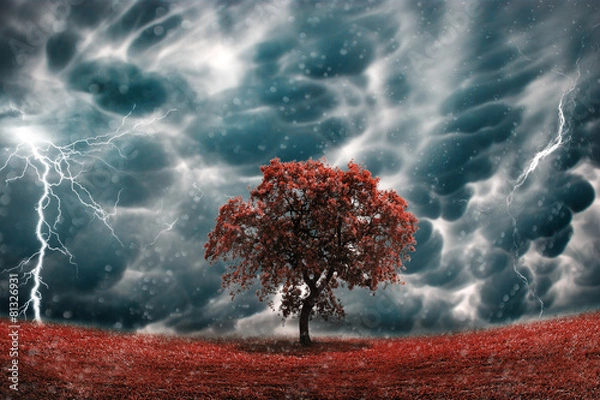 Obraz Stormy tree landscape