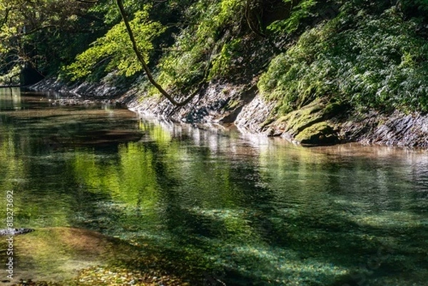 Obraz 晩夏に映える渓谷