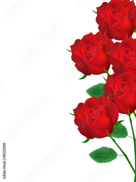 Fototapeta バラ　花　背景