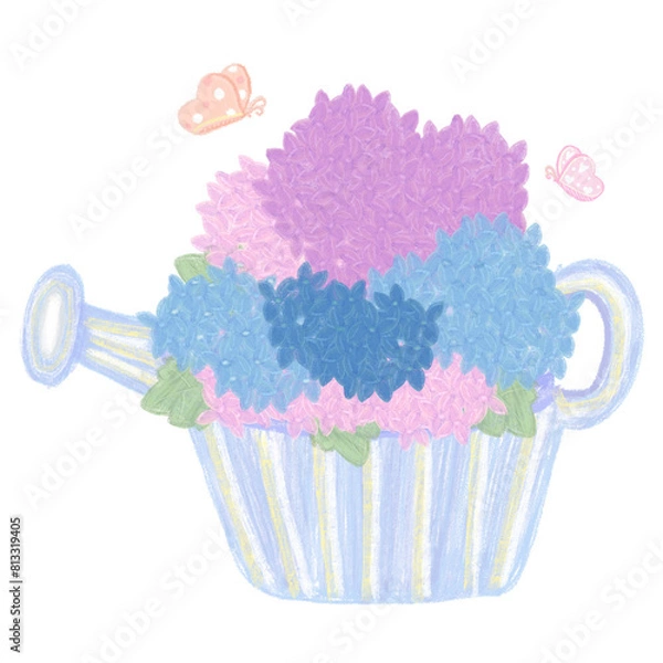 Obraz Hydrangea flower