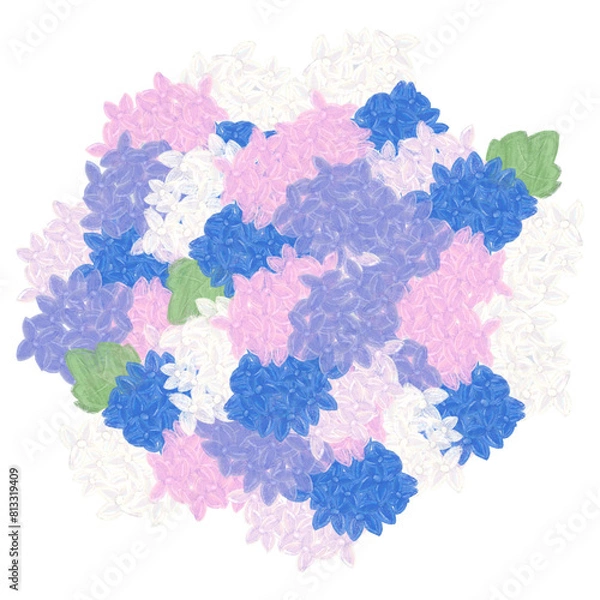 Obraz Hydrangea flower