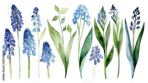 Obraz flower and leaves with watercolor assets on a white background,flower and nature motifs