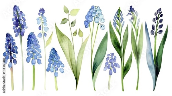 Obraz flower and leaves with watercolor assets on a white background,flower and nature motifs