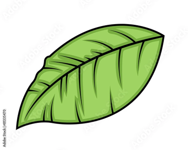 Fototapeta Green Vector Leaf