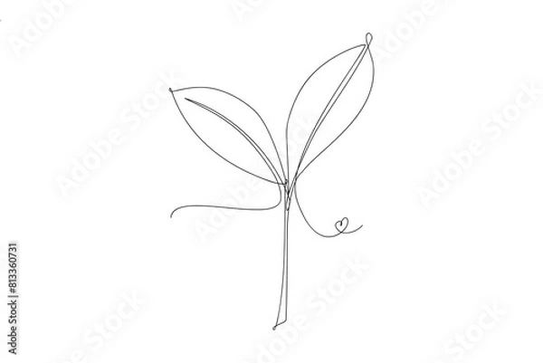 Obraz Leaf one line art image.  Hand drawn illustration of leaves. Transparent image.  Plant line art concept.