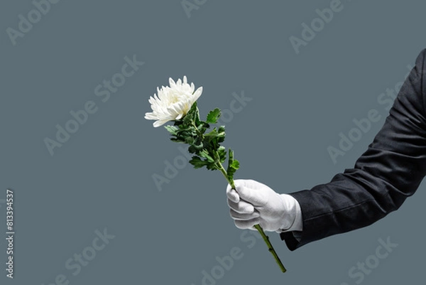 Obraz 양복을 입은사람이 흰 국화꽃을 들고 있다. 장례식을 상징한다.