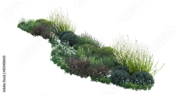 Fototapeta 3d rendering of flowers, plants and flowers. Mediterranean garden