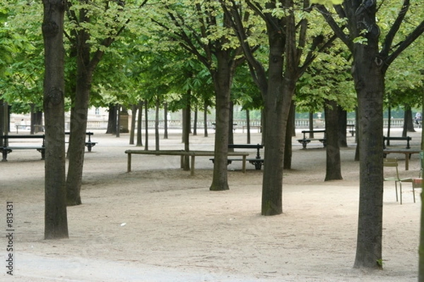 Fototapeta seul dans le parc