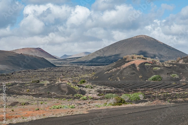 Obraz Paysage Canarien