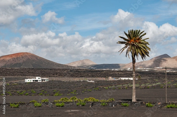 Obraz Lanzarote