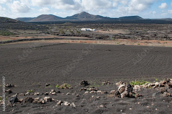 Obraz Culture Canarienne