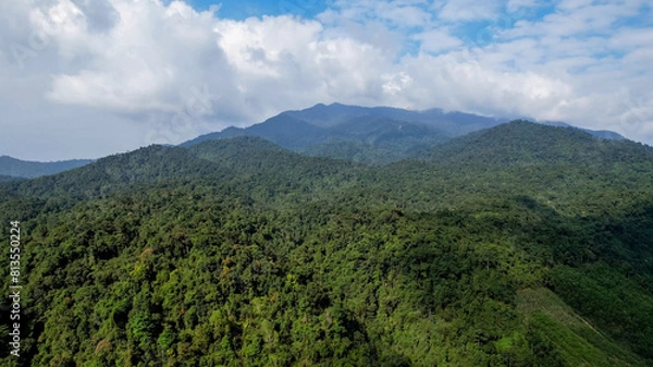 Fototapeta Aerial view of a dense tropical rainforest canopy, symbolizing Earth Day and World Environment Day, highlighting the concept of conservation and biodiversity