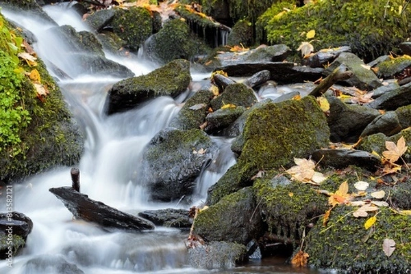 Obraz Cascade on the mossy rocks in a forest